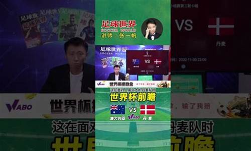 丹麦vs澳大利亚点评比赛-丹麦vs澳大利亚点评