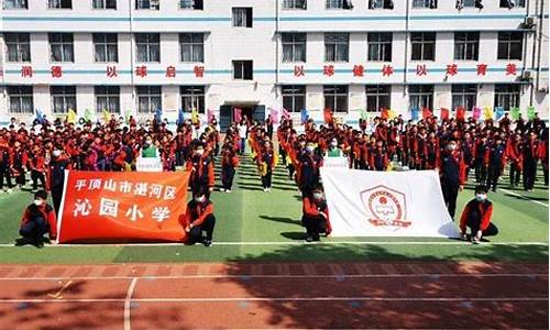 平顶山足球班-平顶山市夏季足球联赛