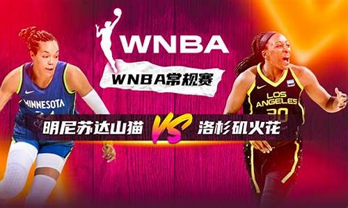 wnba山猫vs梦想-wnba山猫vs天空